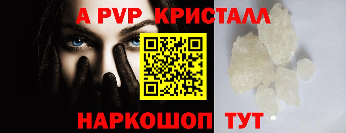 Alfa_PVP СК КРИС Тверь